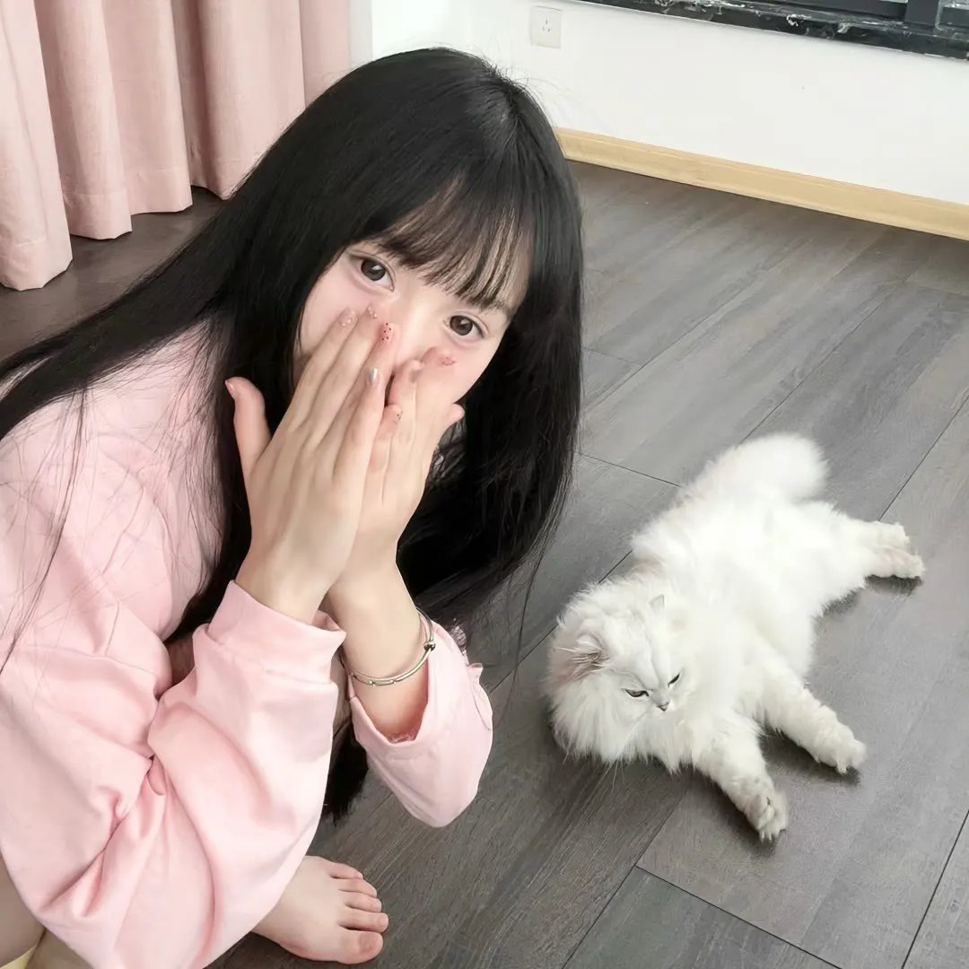 逍遥骑士